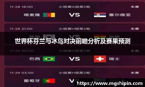 世界杯芬兰与冰岛对决前瞻分析及赛果预测